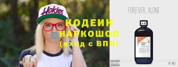 хмурый Абаза