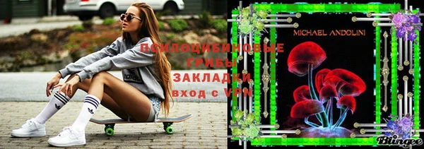 хмурый Абаза