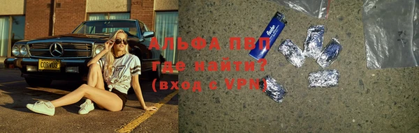 хмурый Абаза